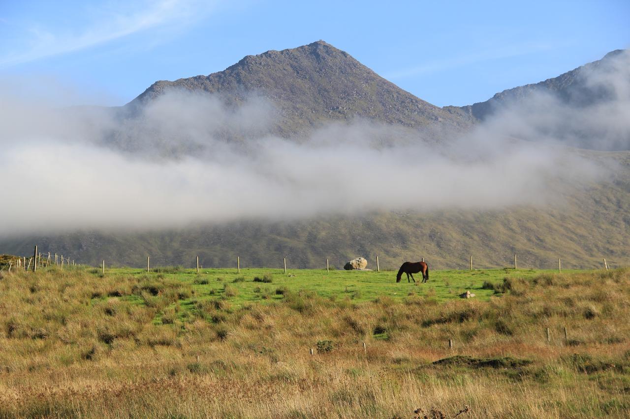 The Reeks Cottage Killarney Exterior foto